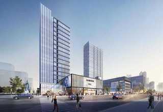 宁波白蘑菇批发