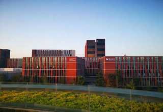 甘南绿地草坪护栏厂家电话