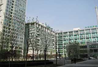 广东蒜香调味粉多少钱