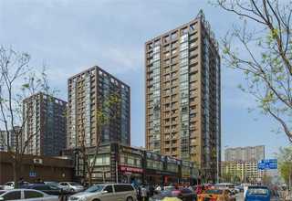 嘉定区办公室盆景绿植租赁上门维护