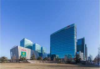 长子葛根黄精茶