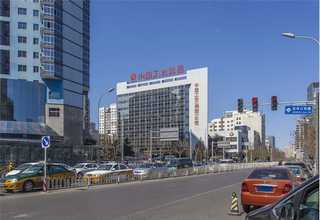 西藏擎天柱乐高盆景厂家直销