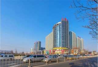 河南专业柔性振动盘代理商